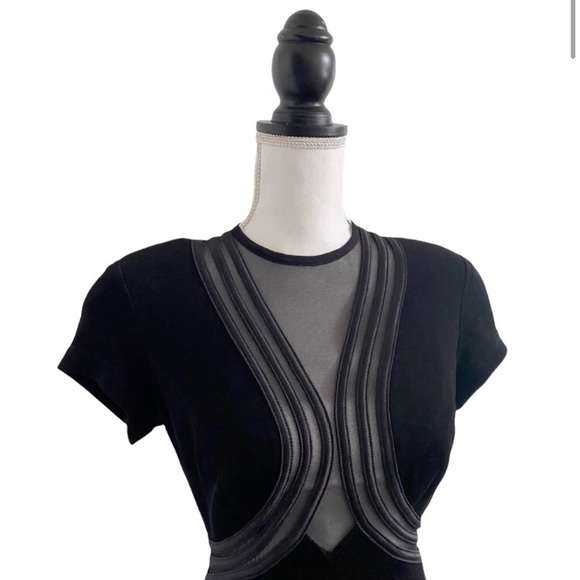 Tadashi Shoji Mesh Panel Black Full Length Dress - Picture 2 of 11